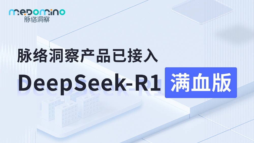 脉络洞察已接入DeepSeek-R1满血版